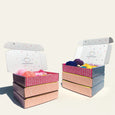 KIT: 5-Crafts-in-a-Box (Colors Color Way)